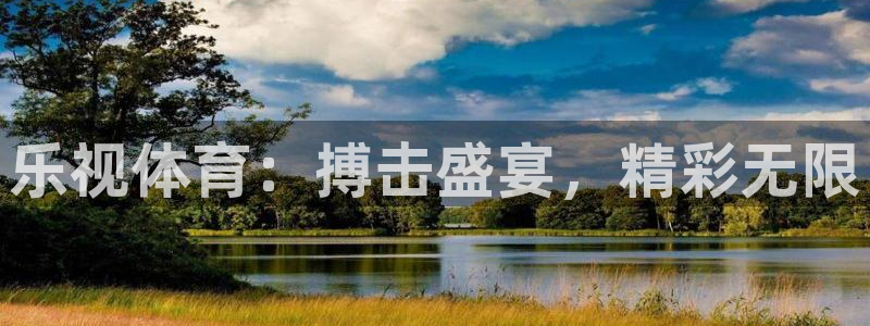 乐视体育：搏击盛宴，精彩无限