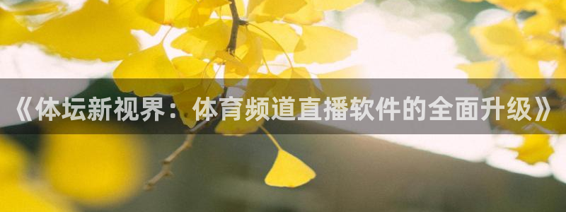 《体坛新视界：体育频道直播软件的全面升级》